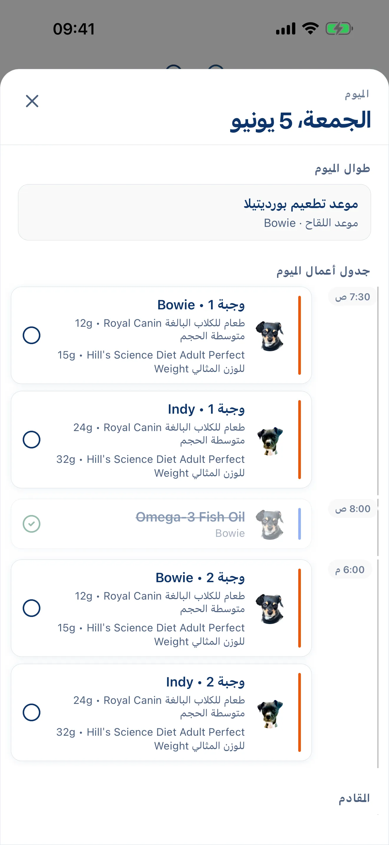 يوم كامل، مخطط له مسبقاً.