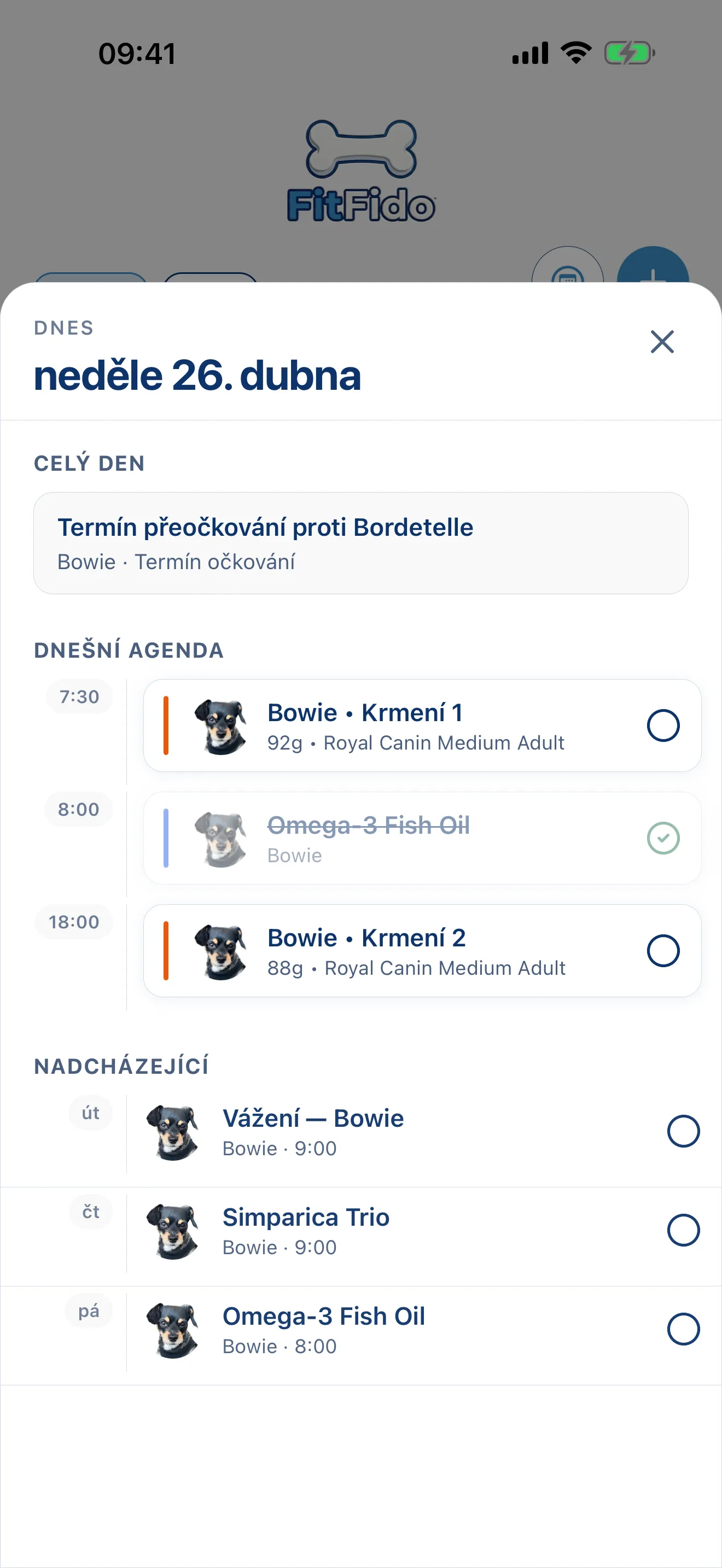 Celý den, už naplánovaný.
