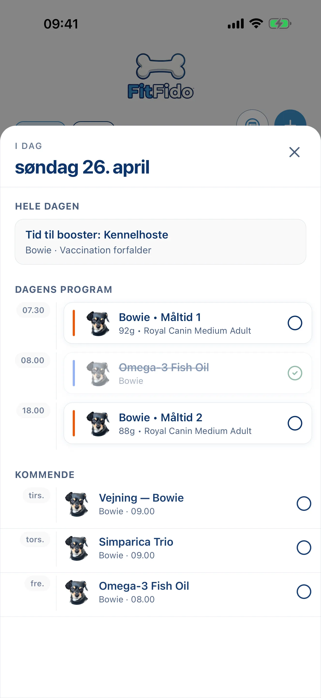 Hele dagen, allerede planlagt.