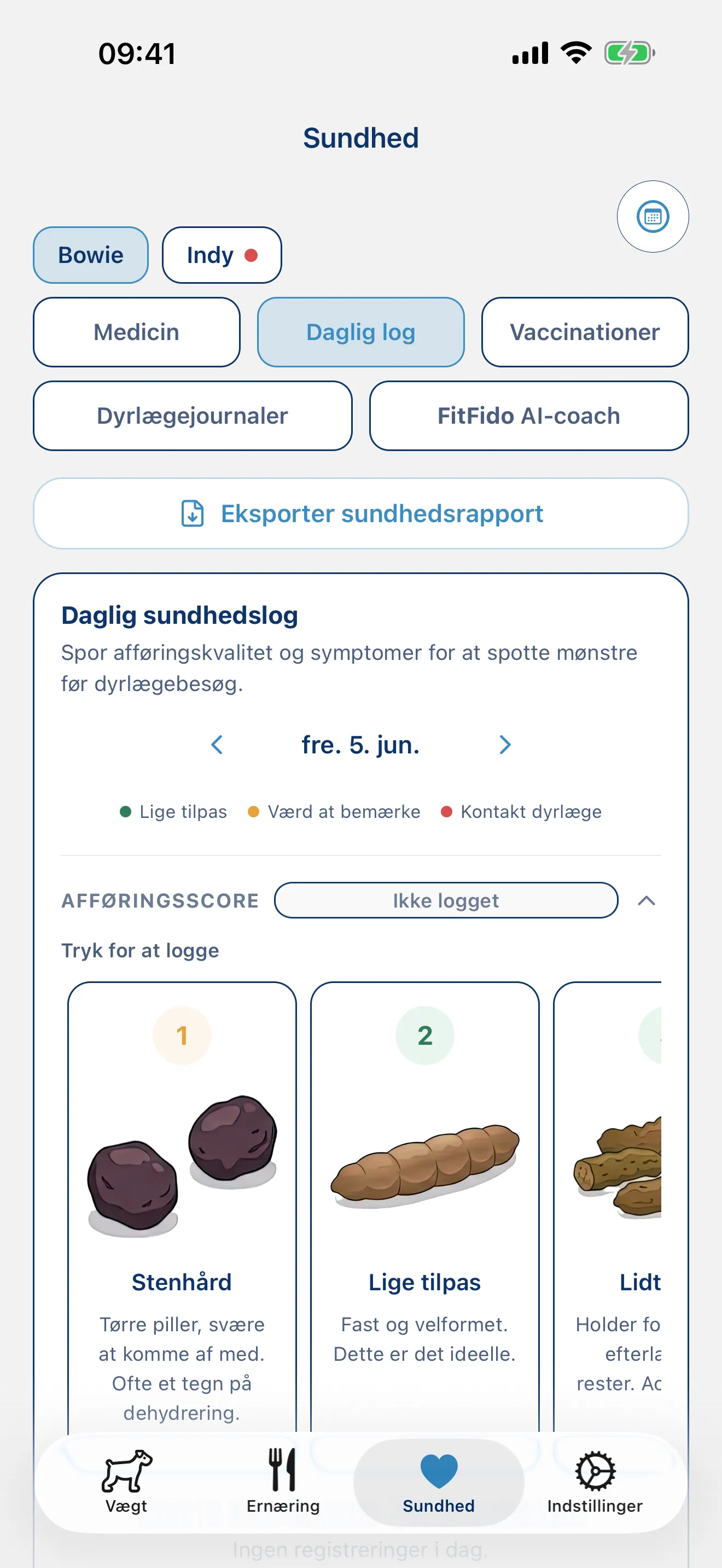 Log dagen. Hvert symptom, hver note.