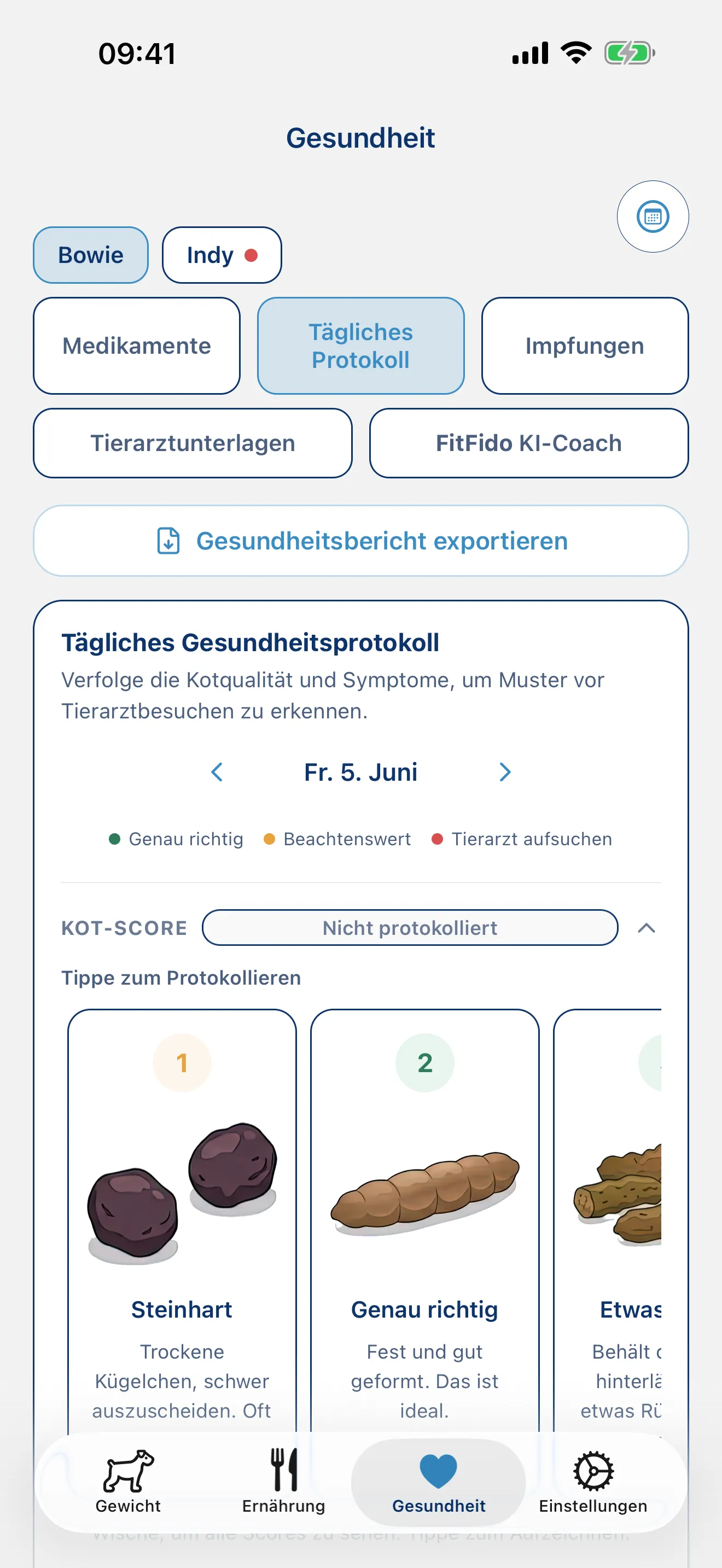 Den Tag protokollieren. Jedes Symptom, jede Notiz.