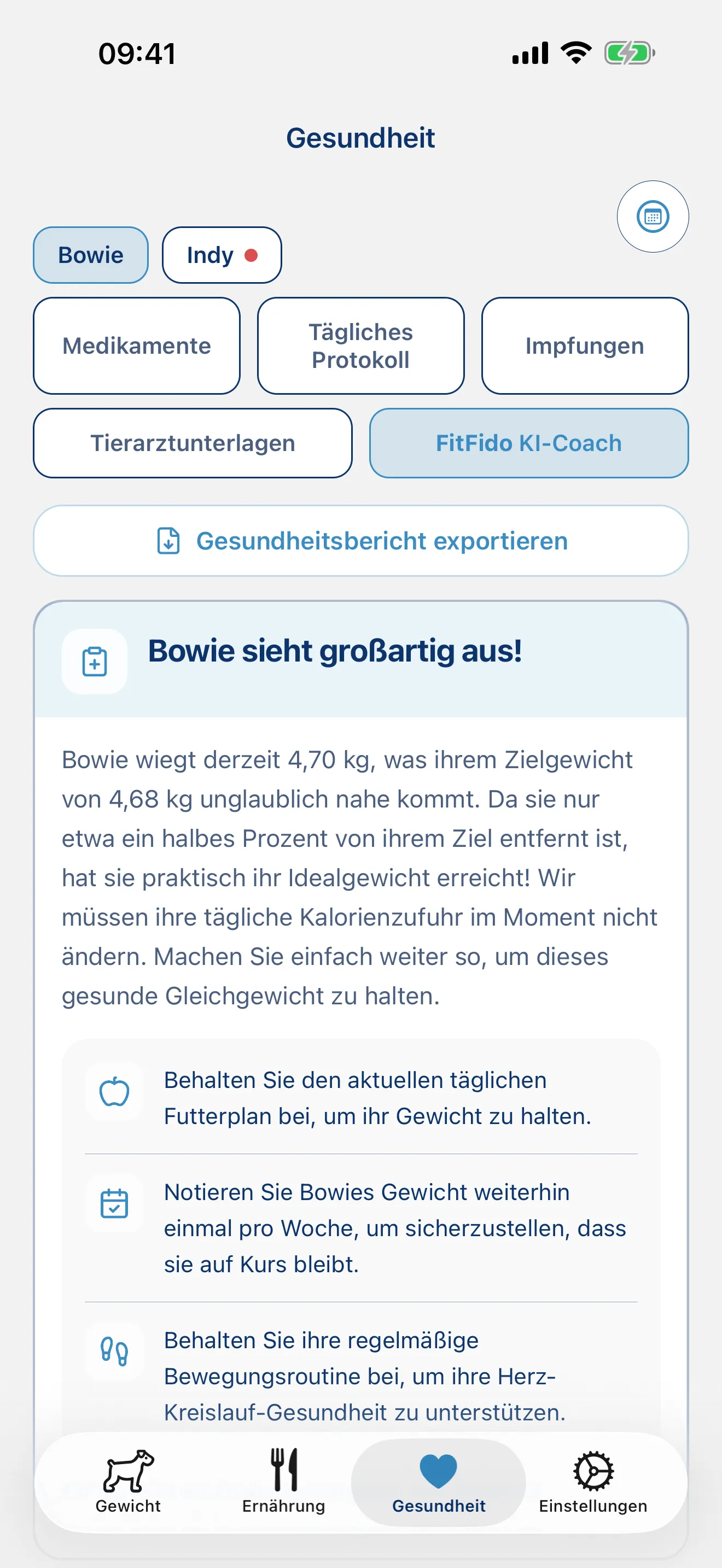 Ein Coach, der deinen Hund versteht.