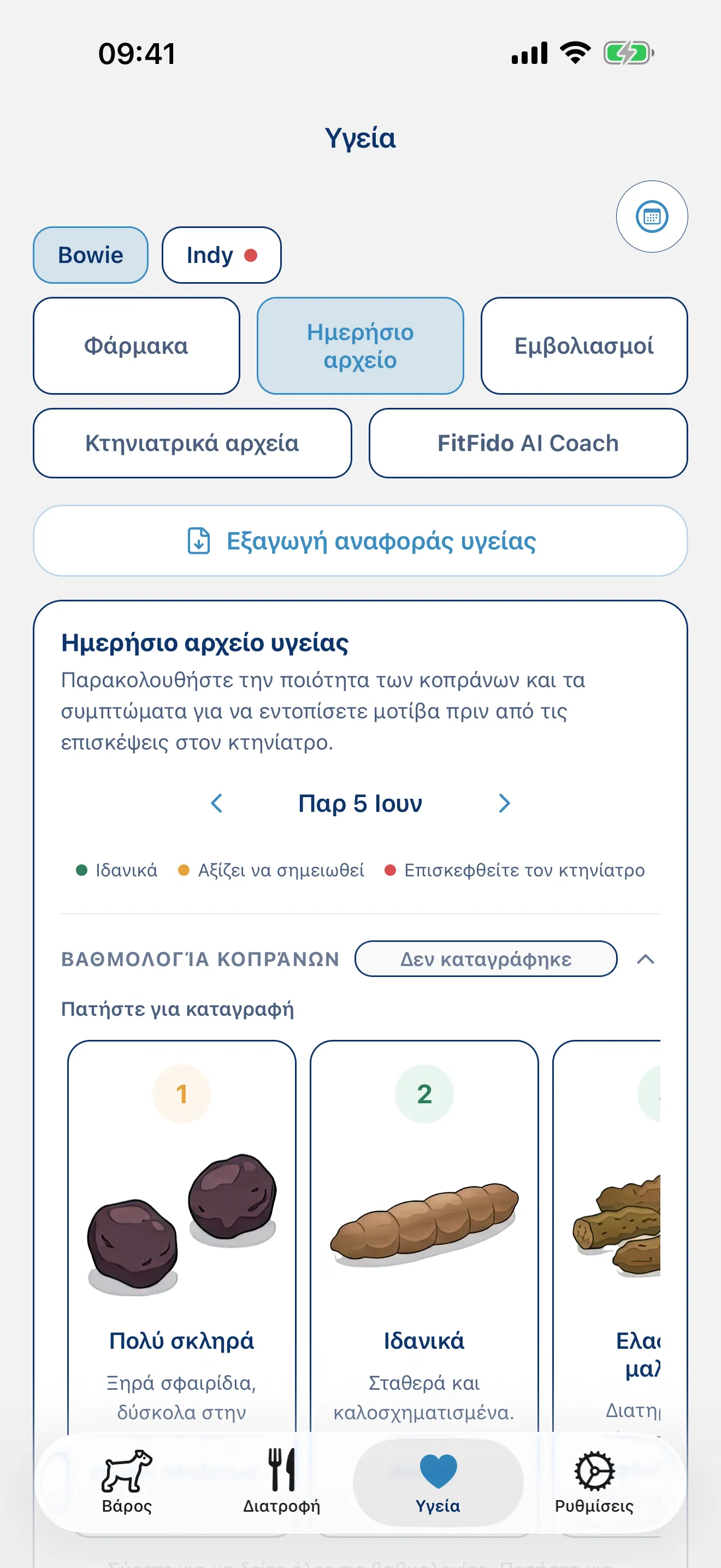 Καταγράψτε την ημέρα. Κάθε σύμπτωμα, κάθε σημείωση.