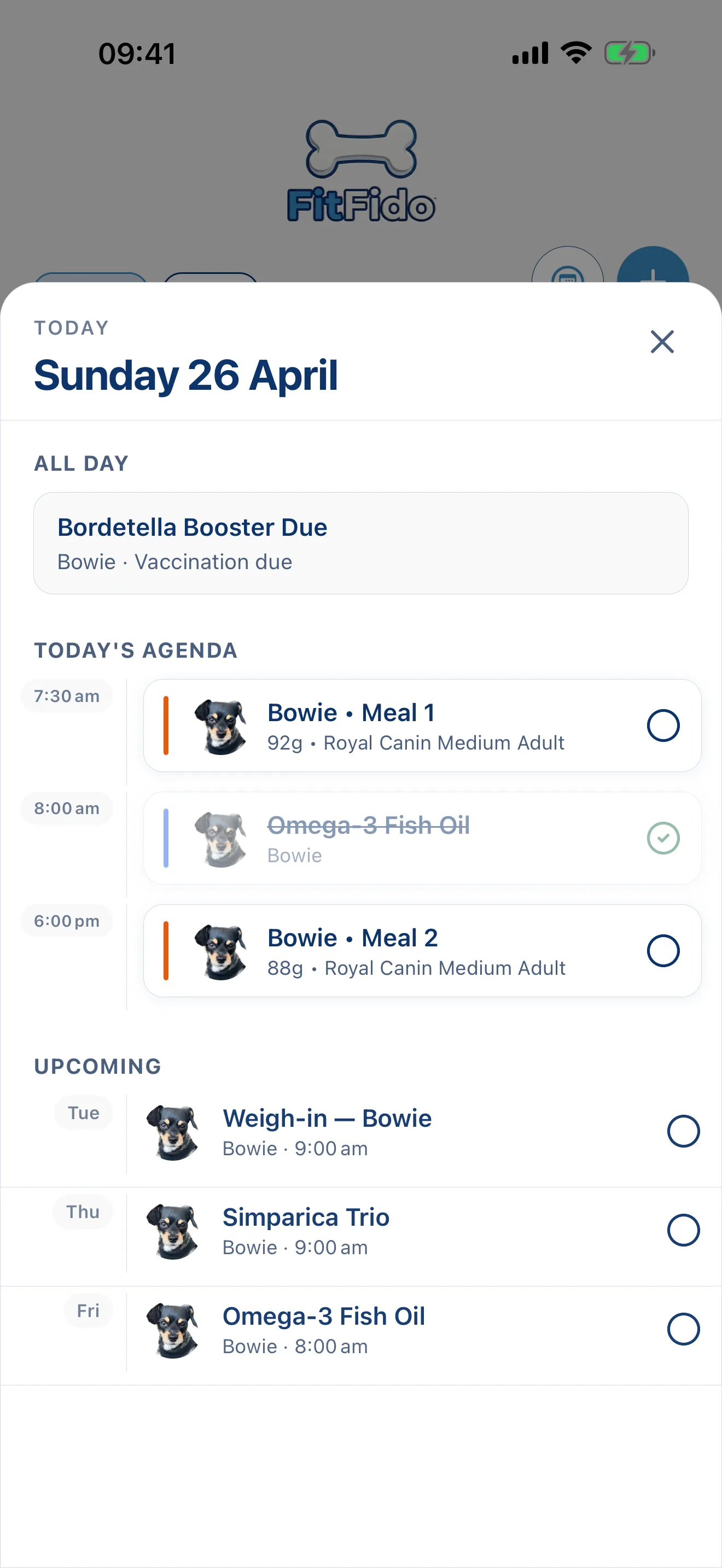 The whole day, already planned.