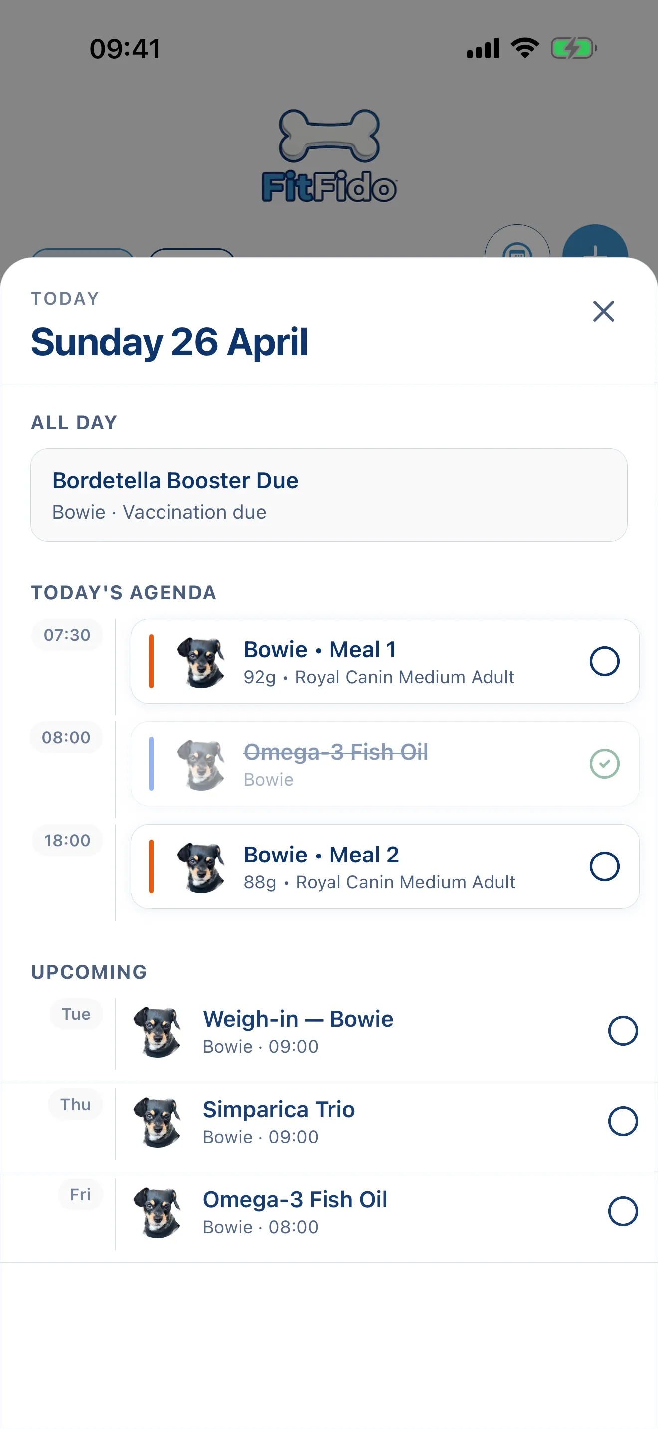 The whole day, already planned.