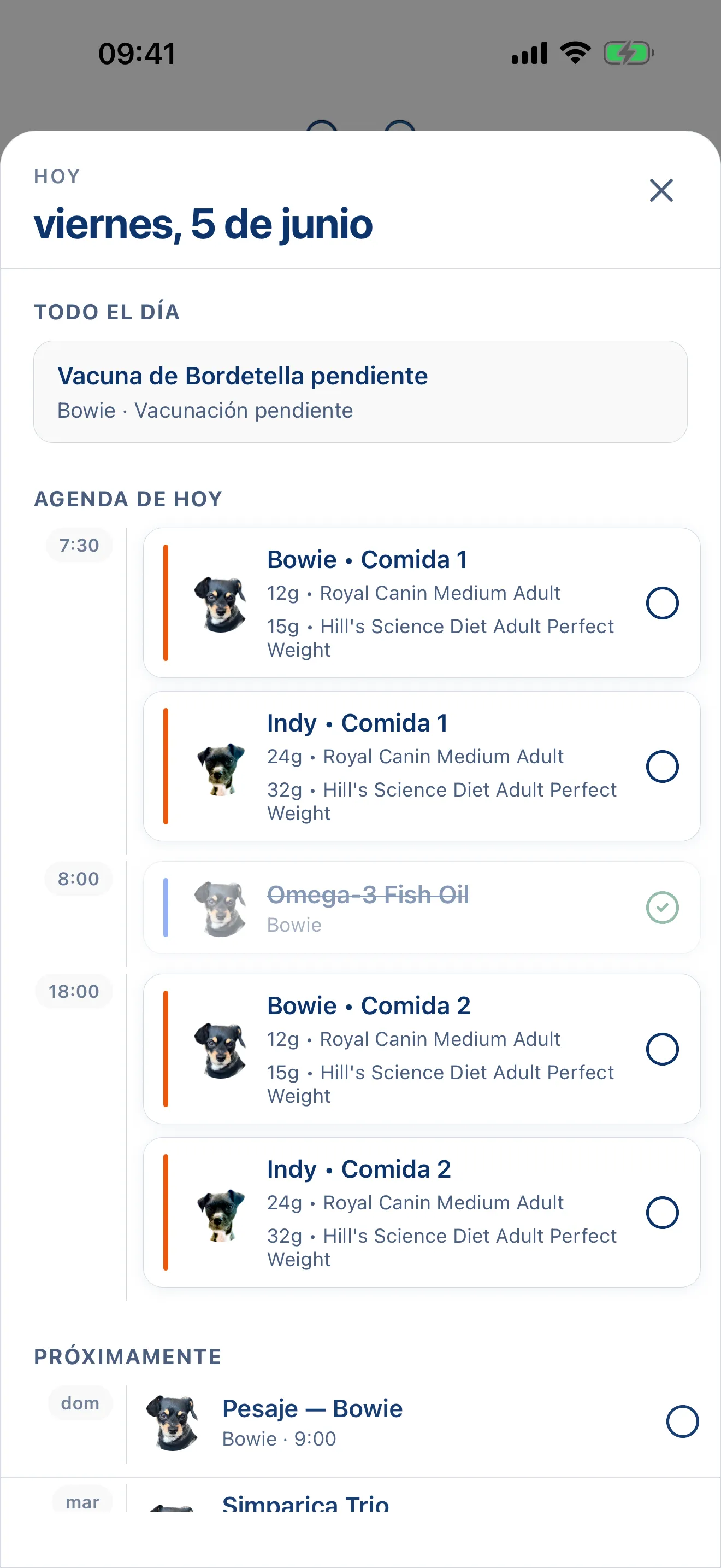 Todo el día, ya planificado.