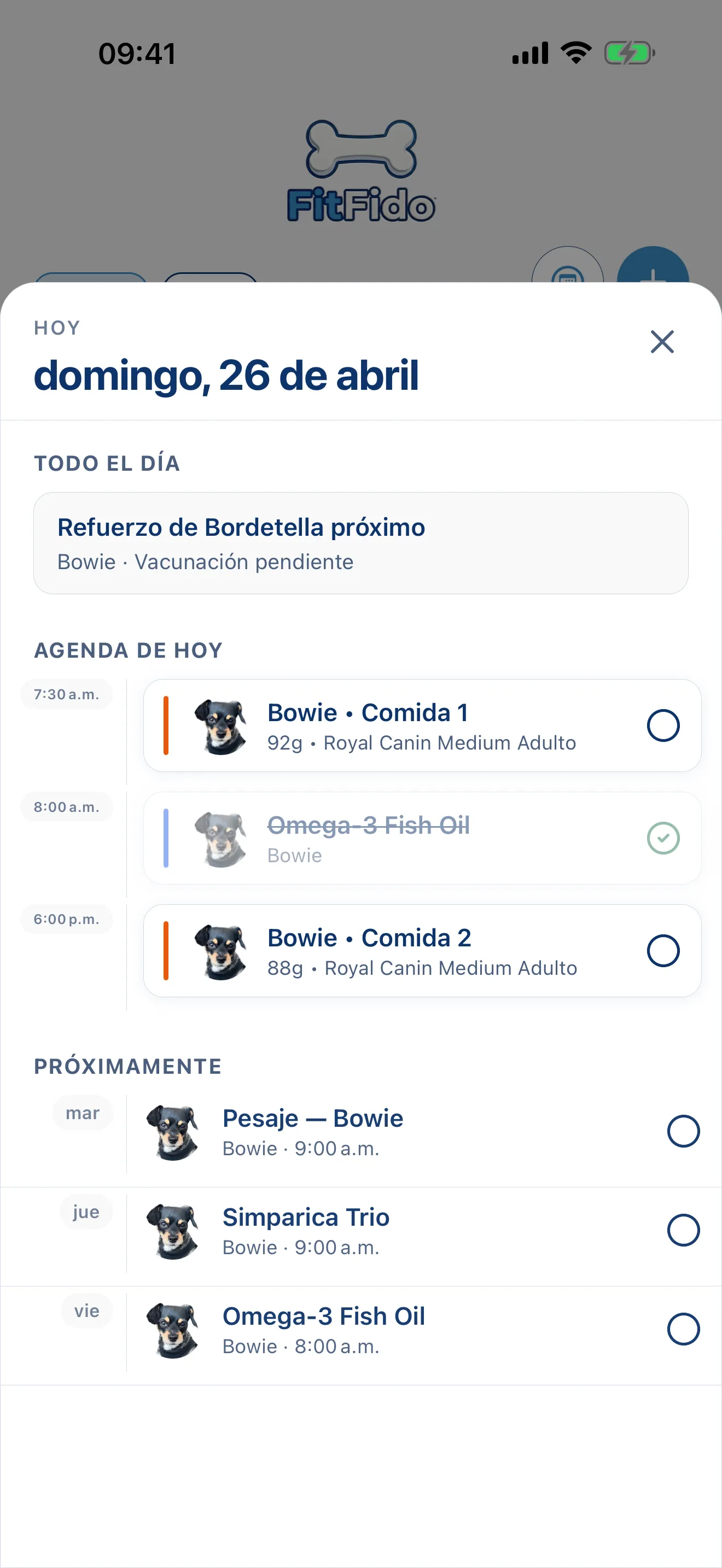Todo el día, ya planeado.