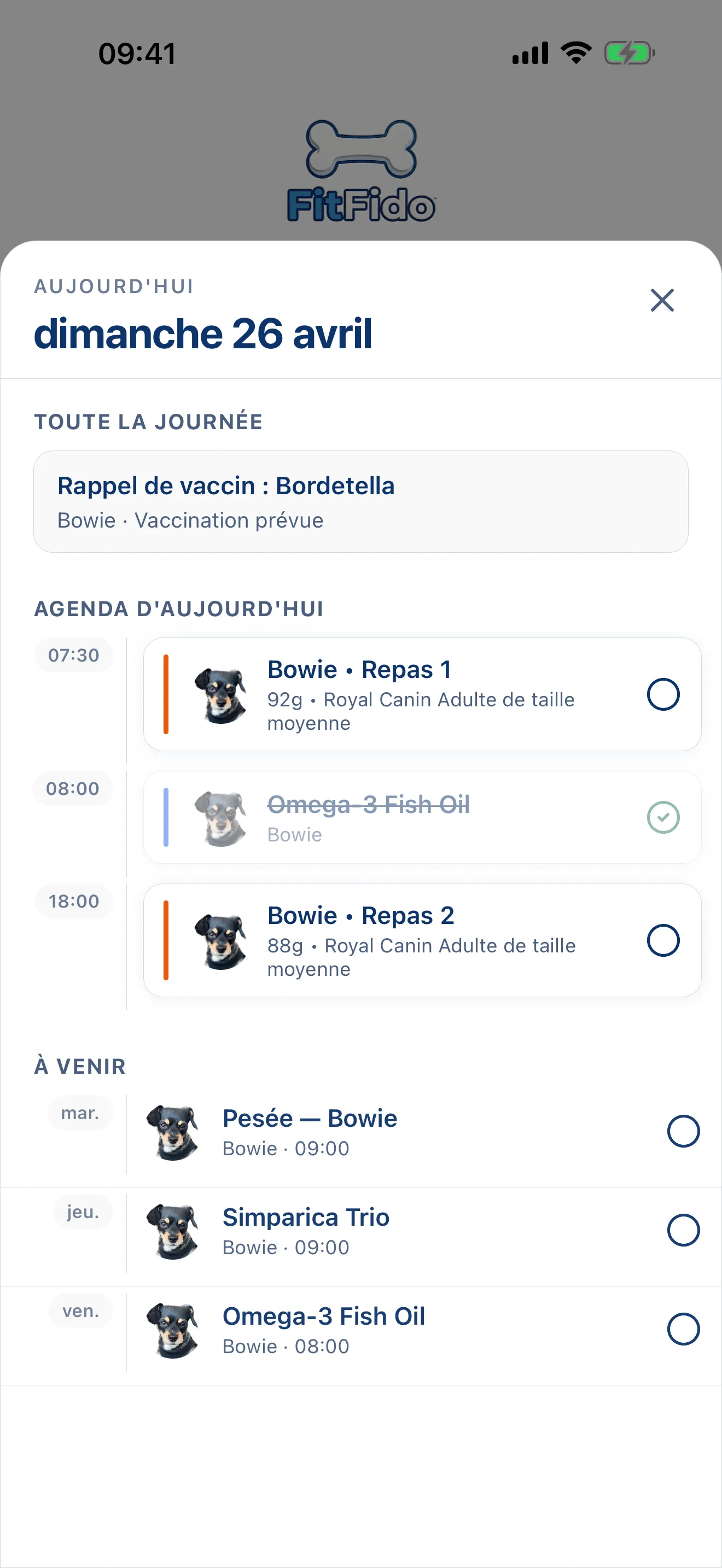 Toute la journée, déjà planifiée.