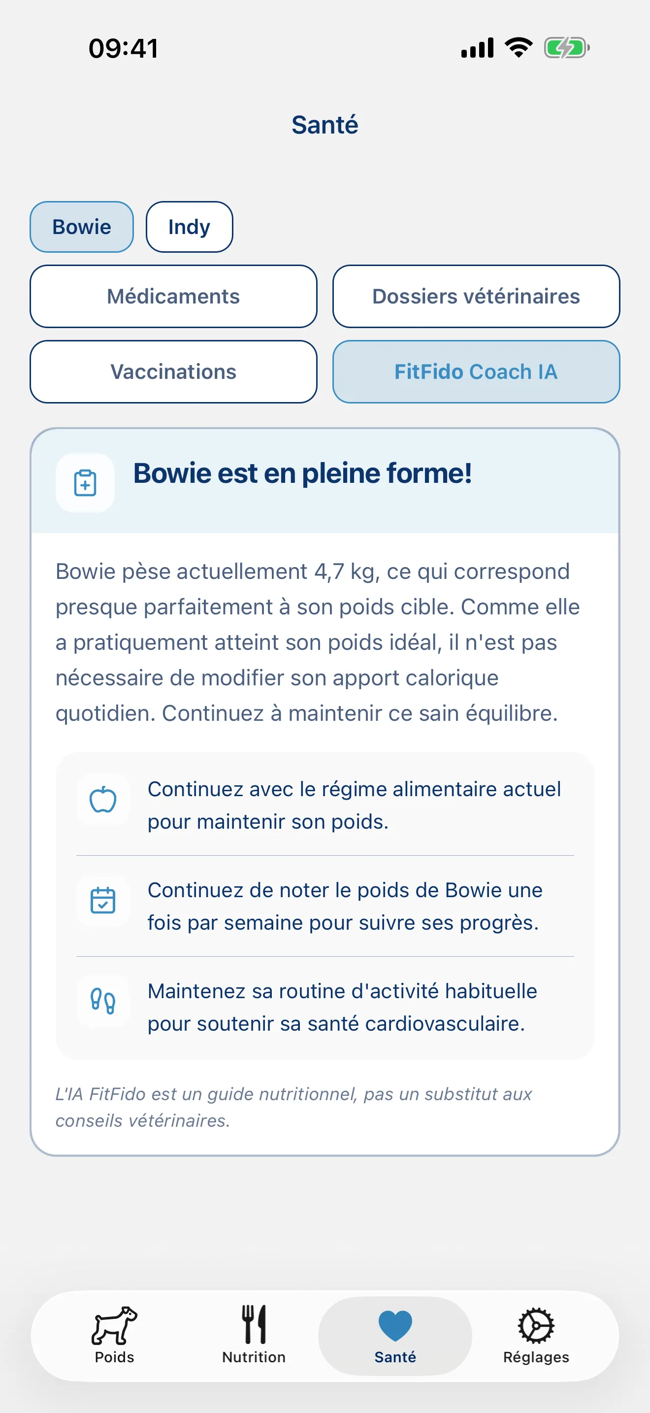 Un coach qui apprend à connaître votre chien.
