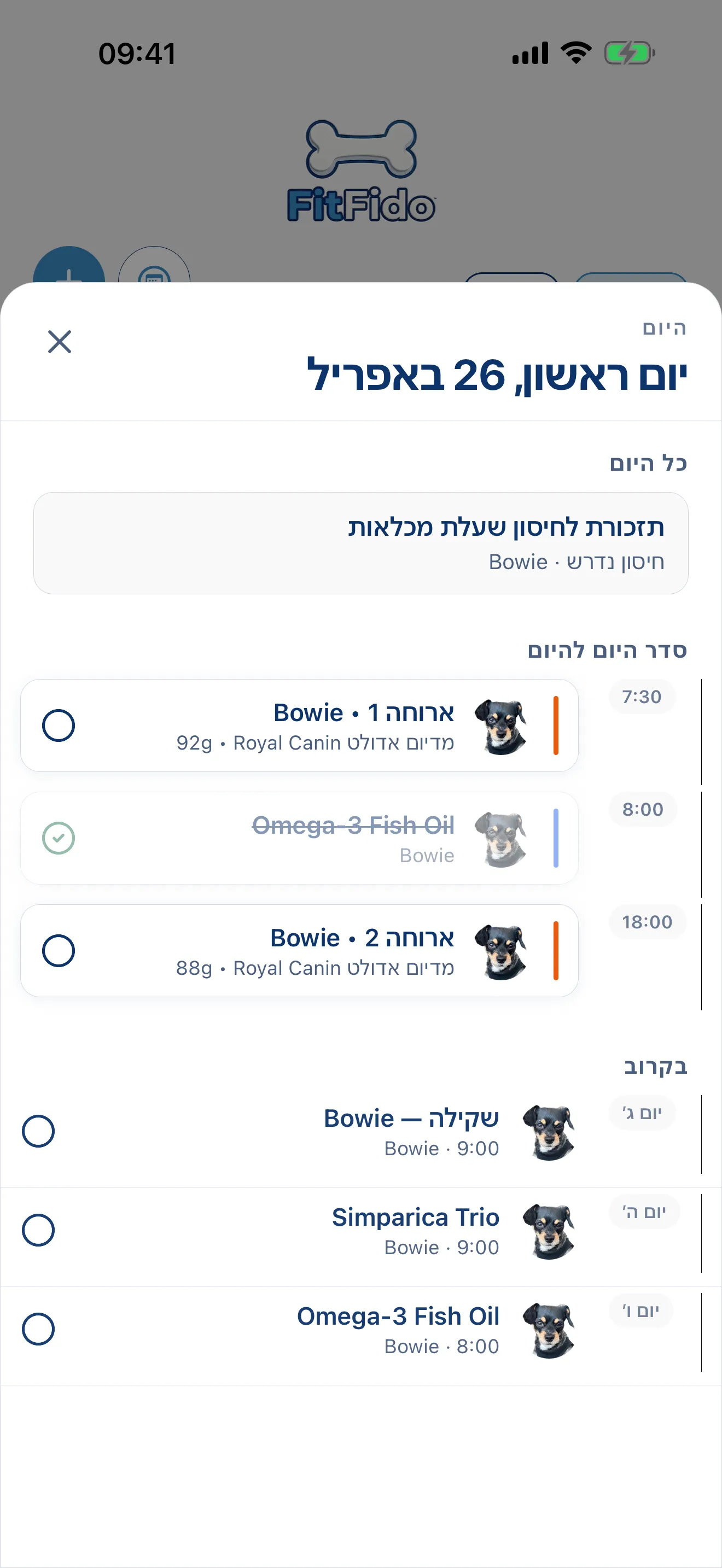 כל היום, כבר מתוכנן.