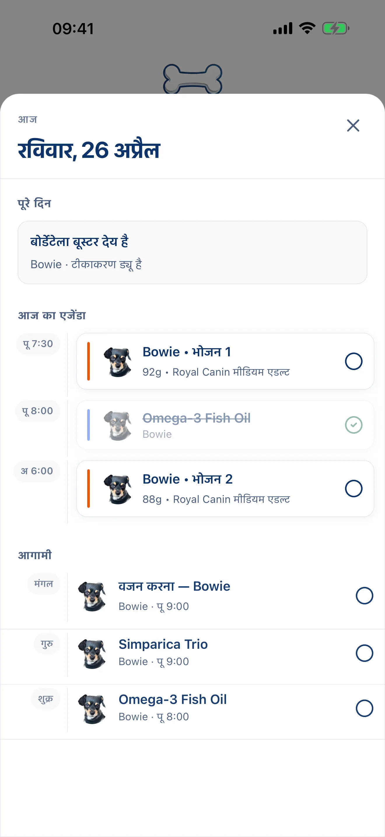 पूरा दिन, पहले से ही नियोजित।