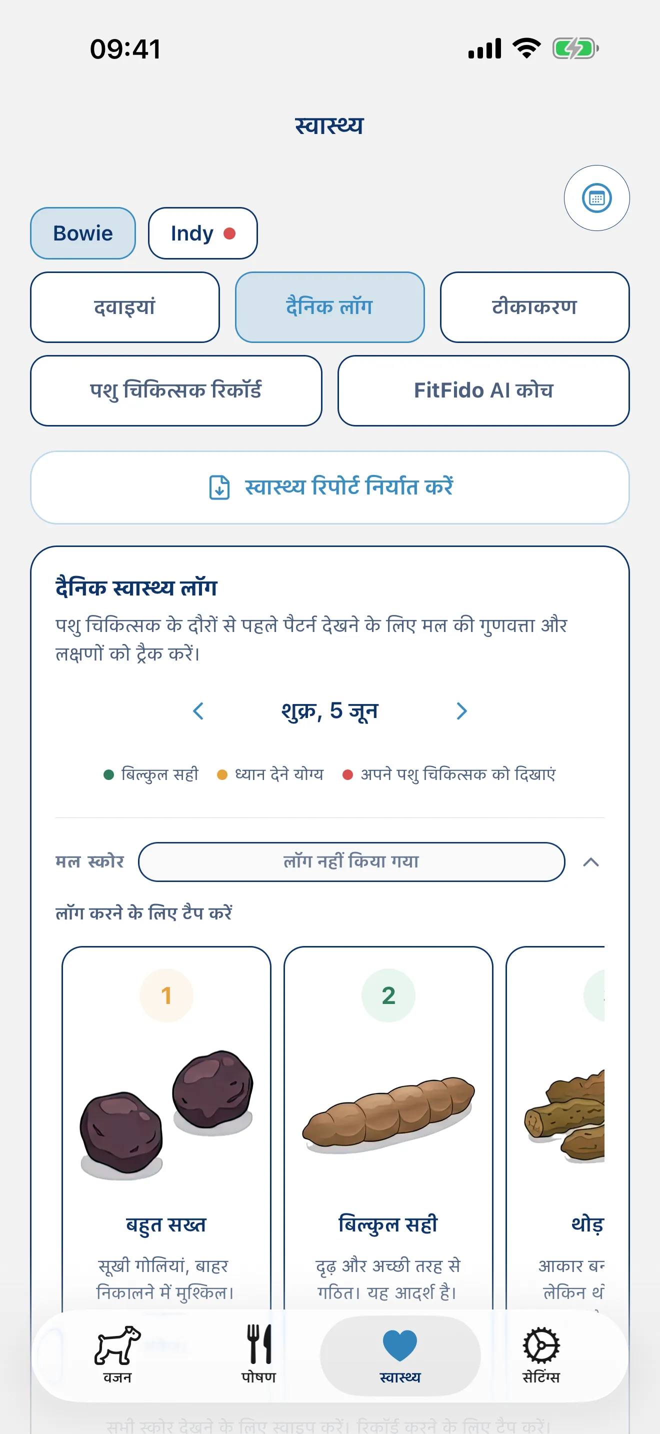 दिन का लॉग रखें। हर लक्षण, हर नोट।
