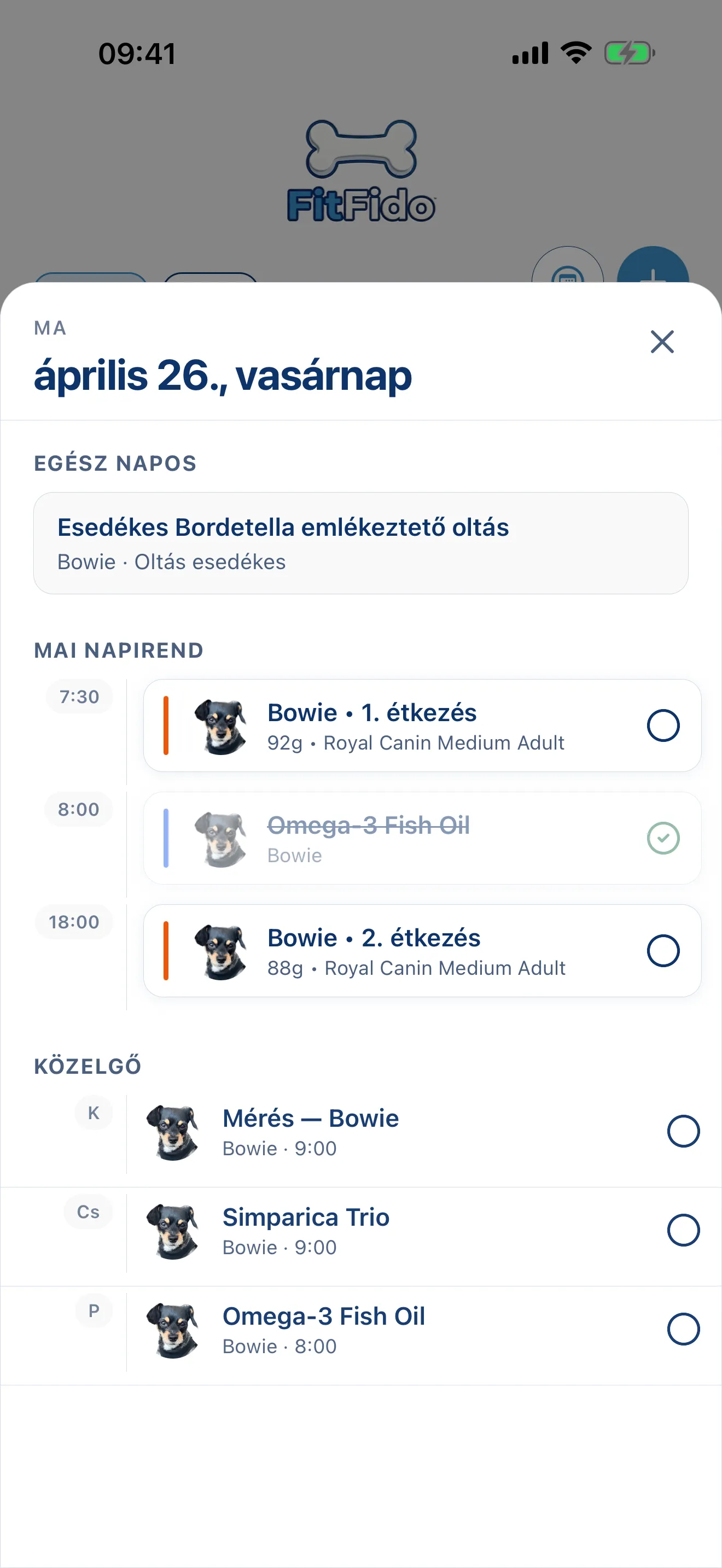 Az egész nap, már megtervezve.