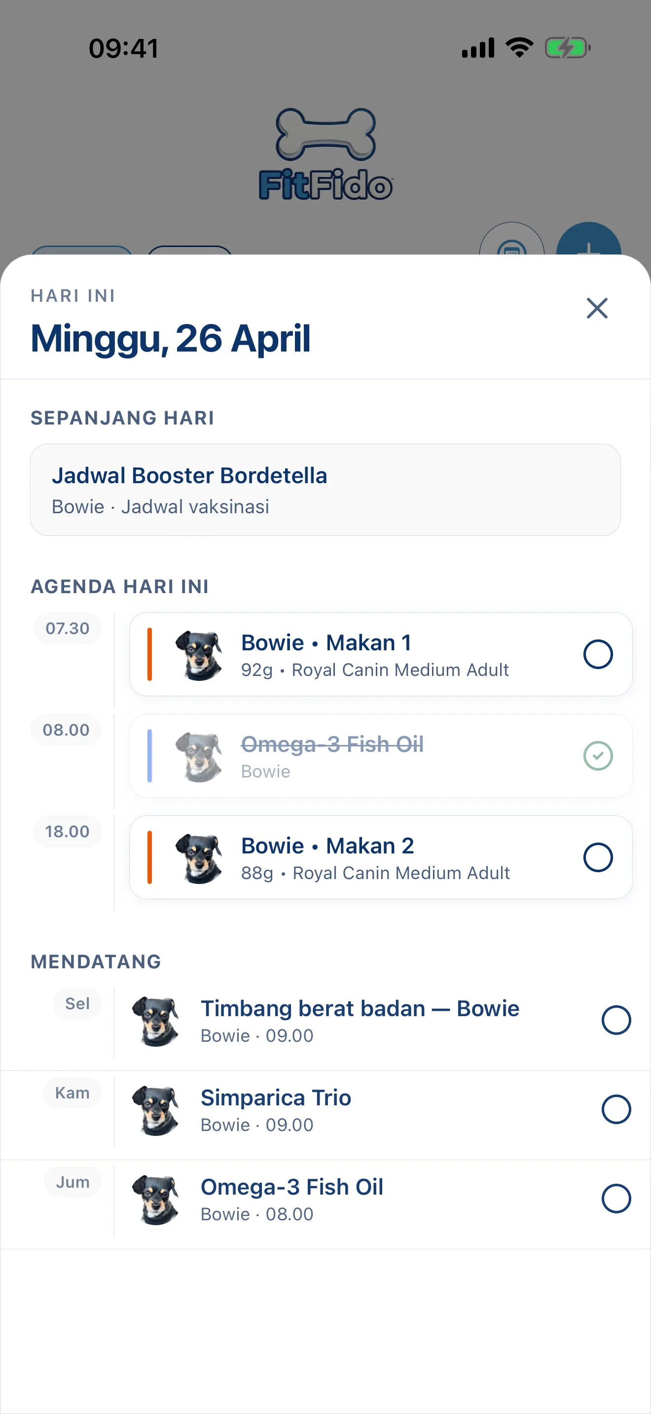 Sepanjang hari, sudah terencana.