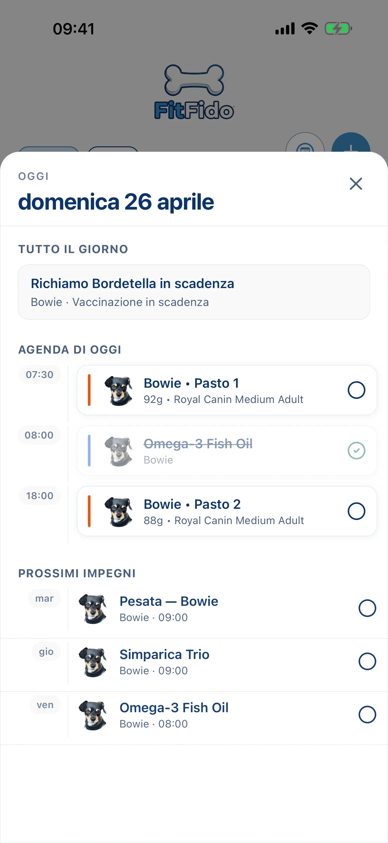 L'intera giornata, già pianificata.