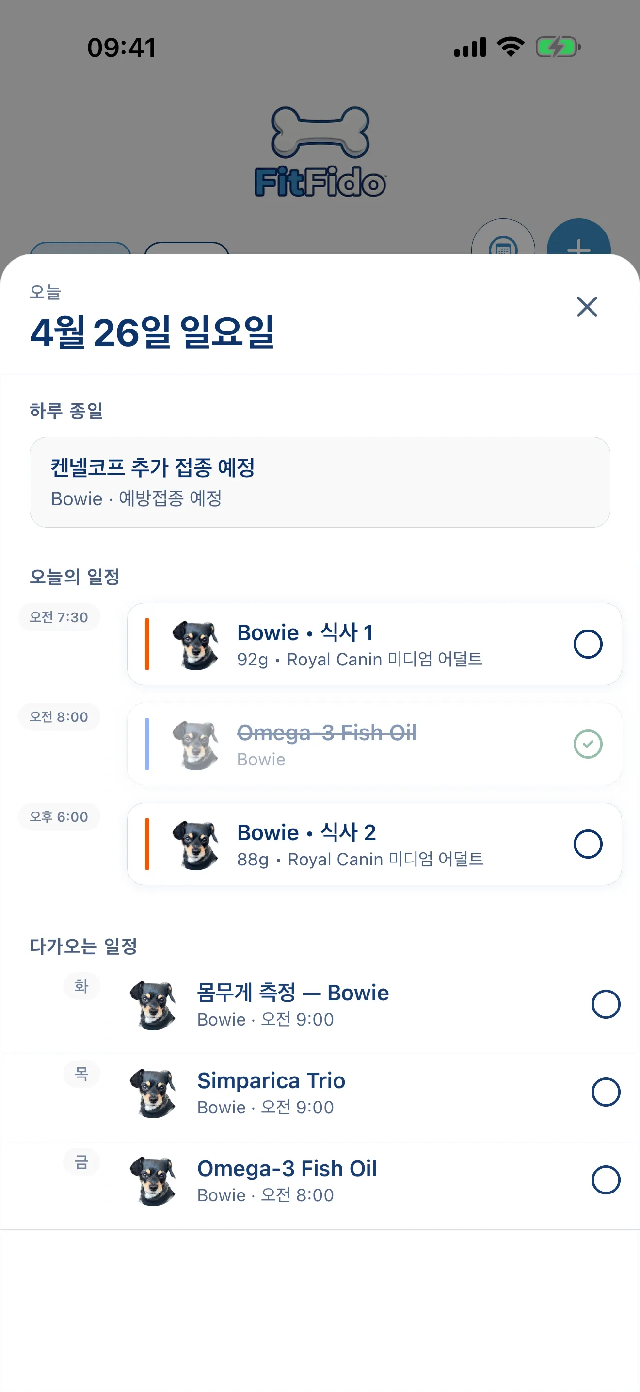 하루 일과, 이미 계획되었습니다.