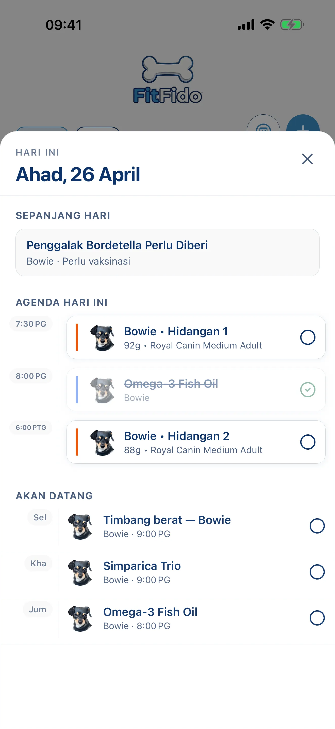 Sepanjang hari, sudah dirancang.