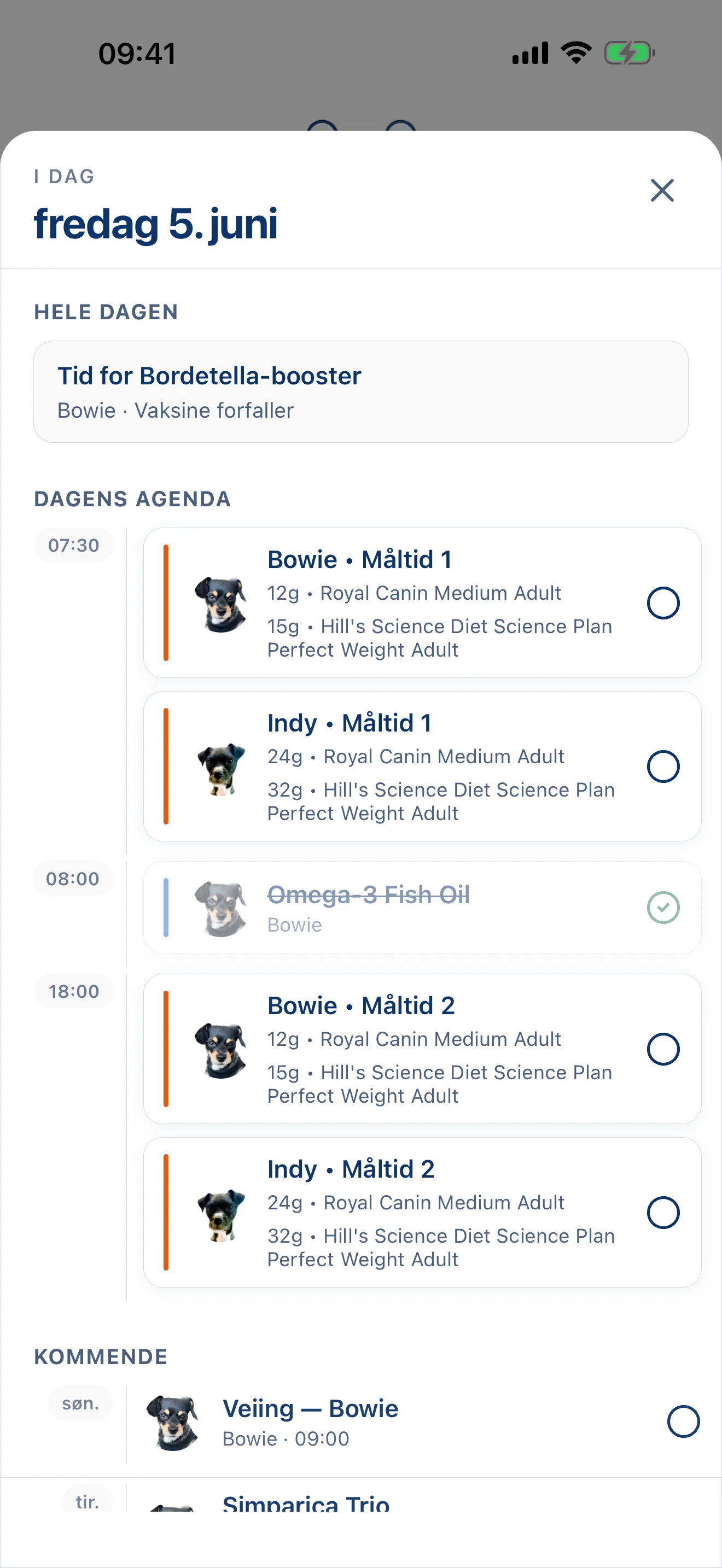 Hele dagen, allerede planlagt.