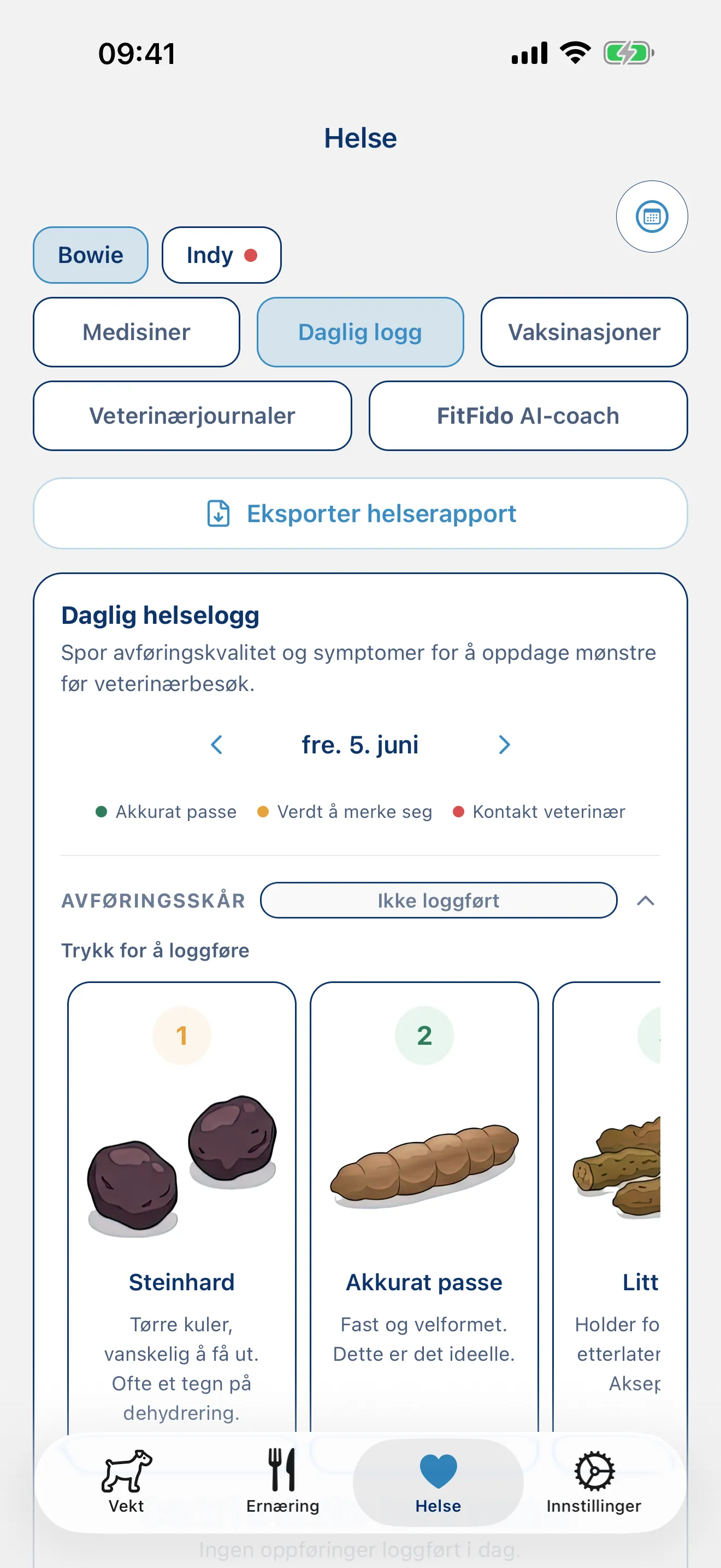 Loggfør dagen. Hvert symptom, hvert notat.