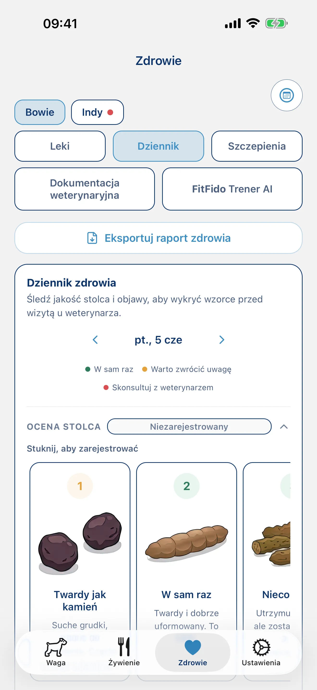 Zapisuj każdy dzień. Każdy objaw, każdą notatkę.