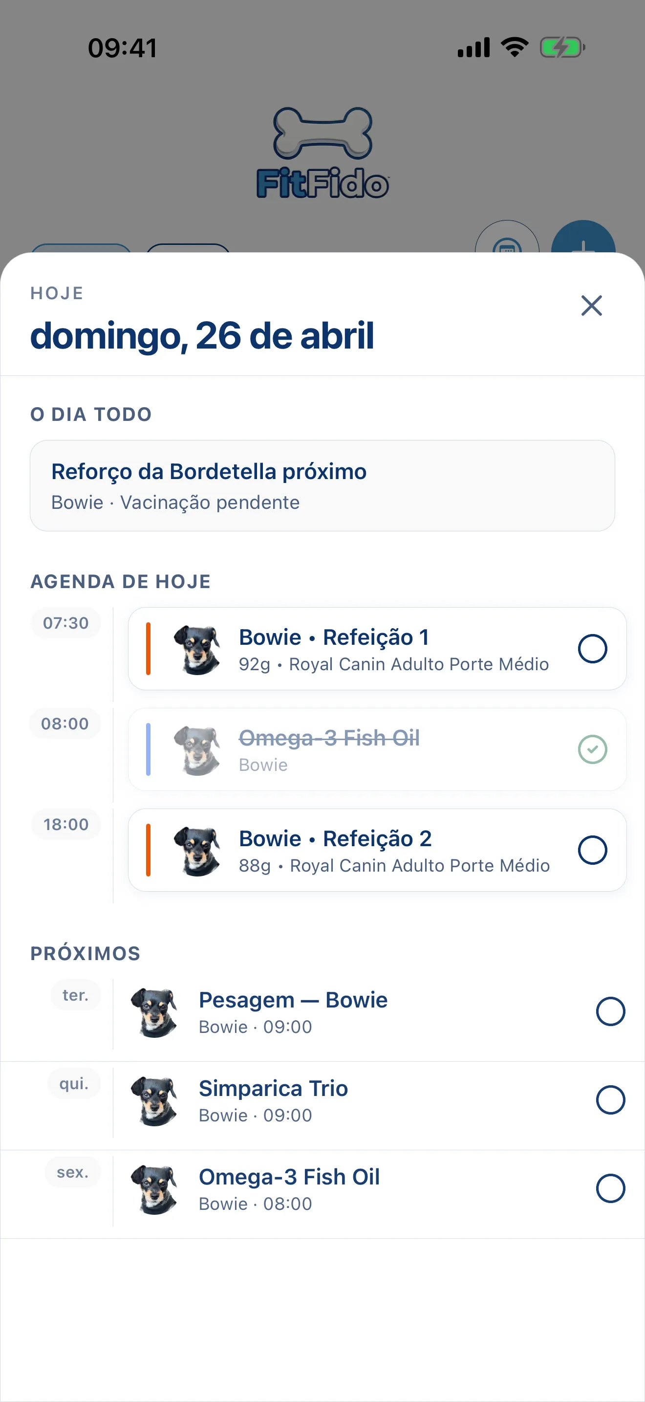 O dia todo, já planejado.