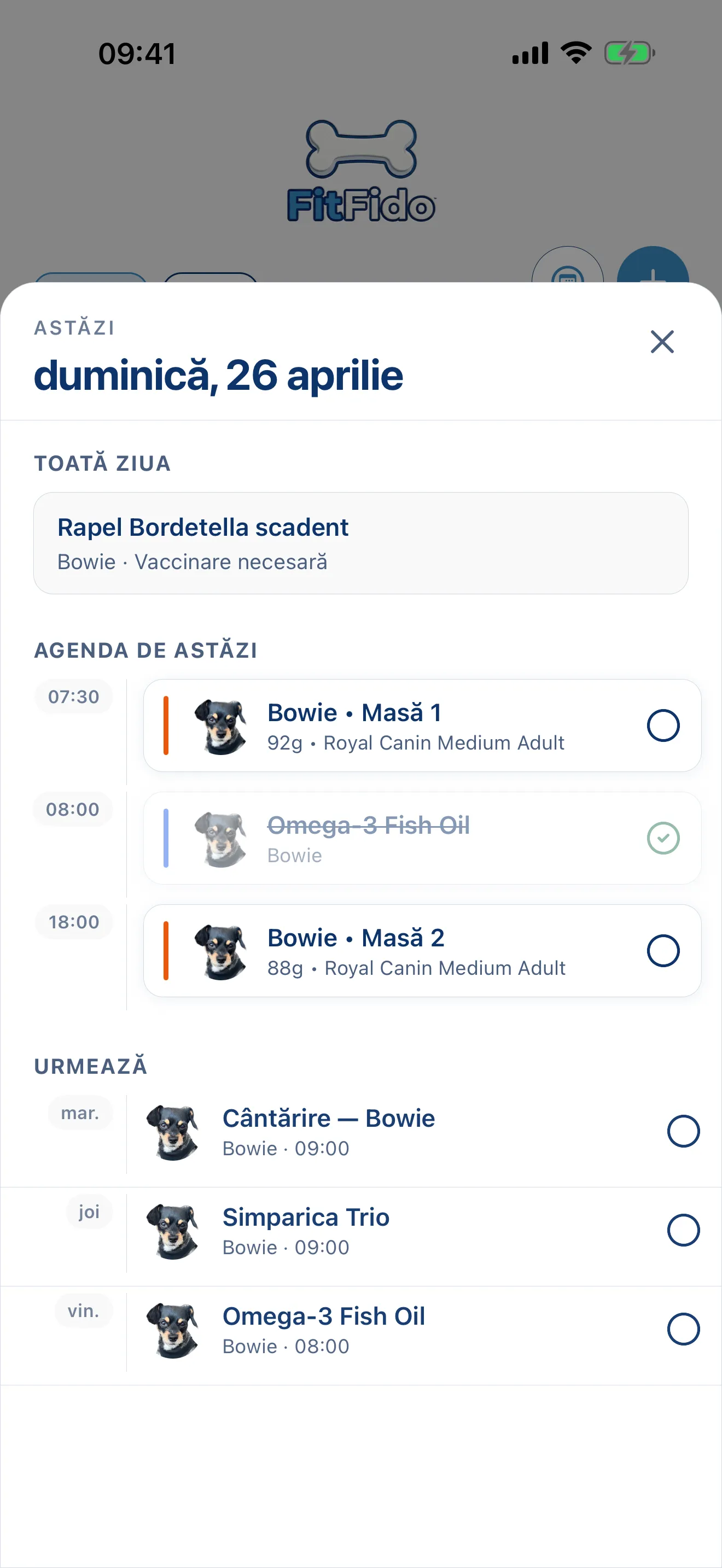 Întreaga zi, deja planificată.