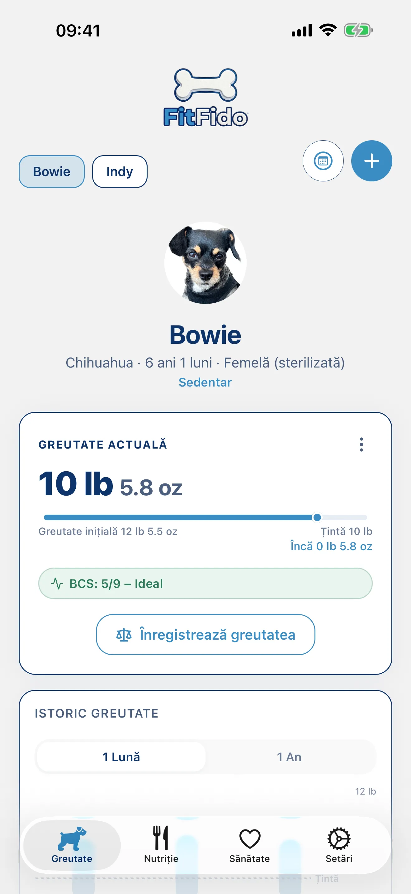 Fiecare gram, urmărit până la țintă.