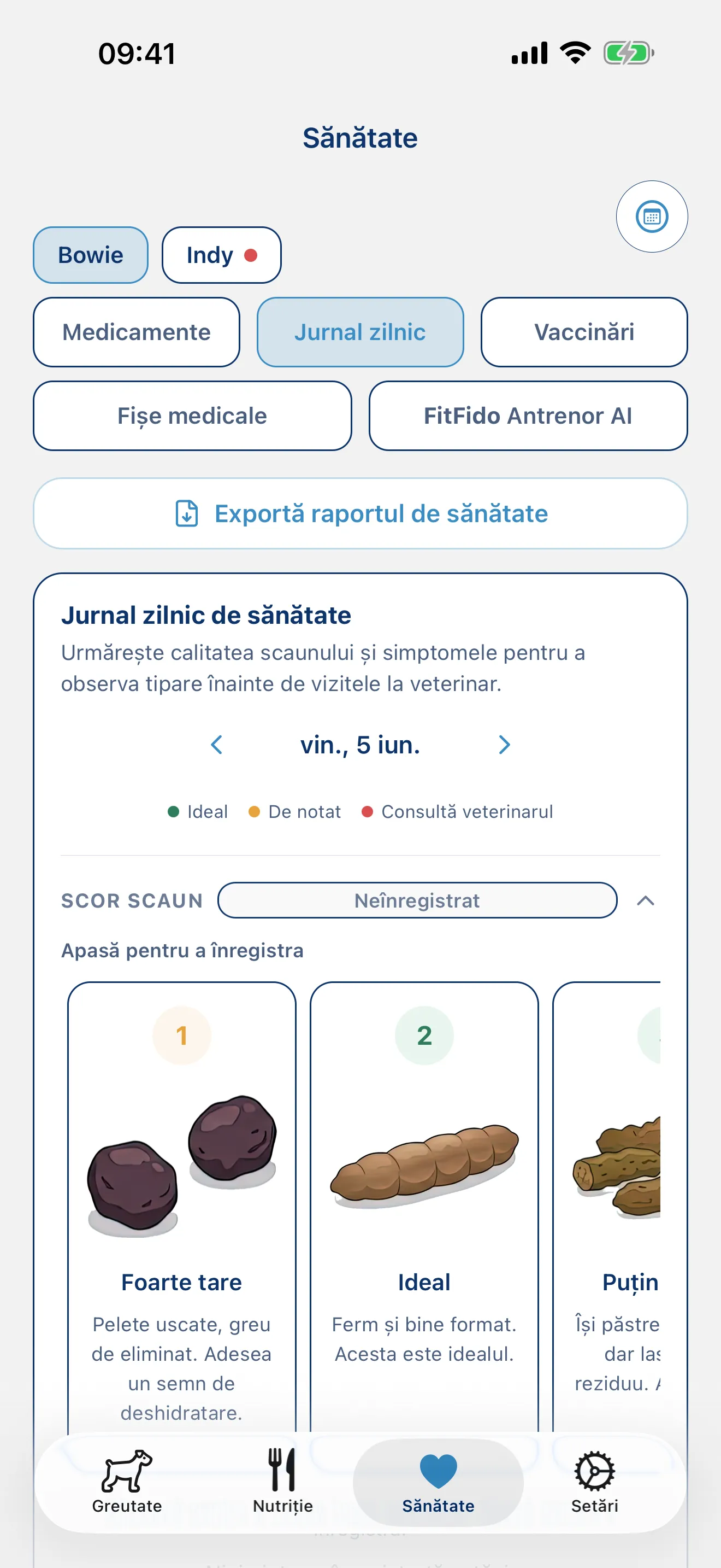 Înregistrează ziua. Fiecare simptom, fiecare notiță.