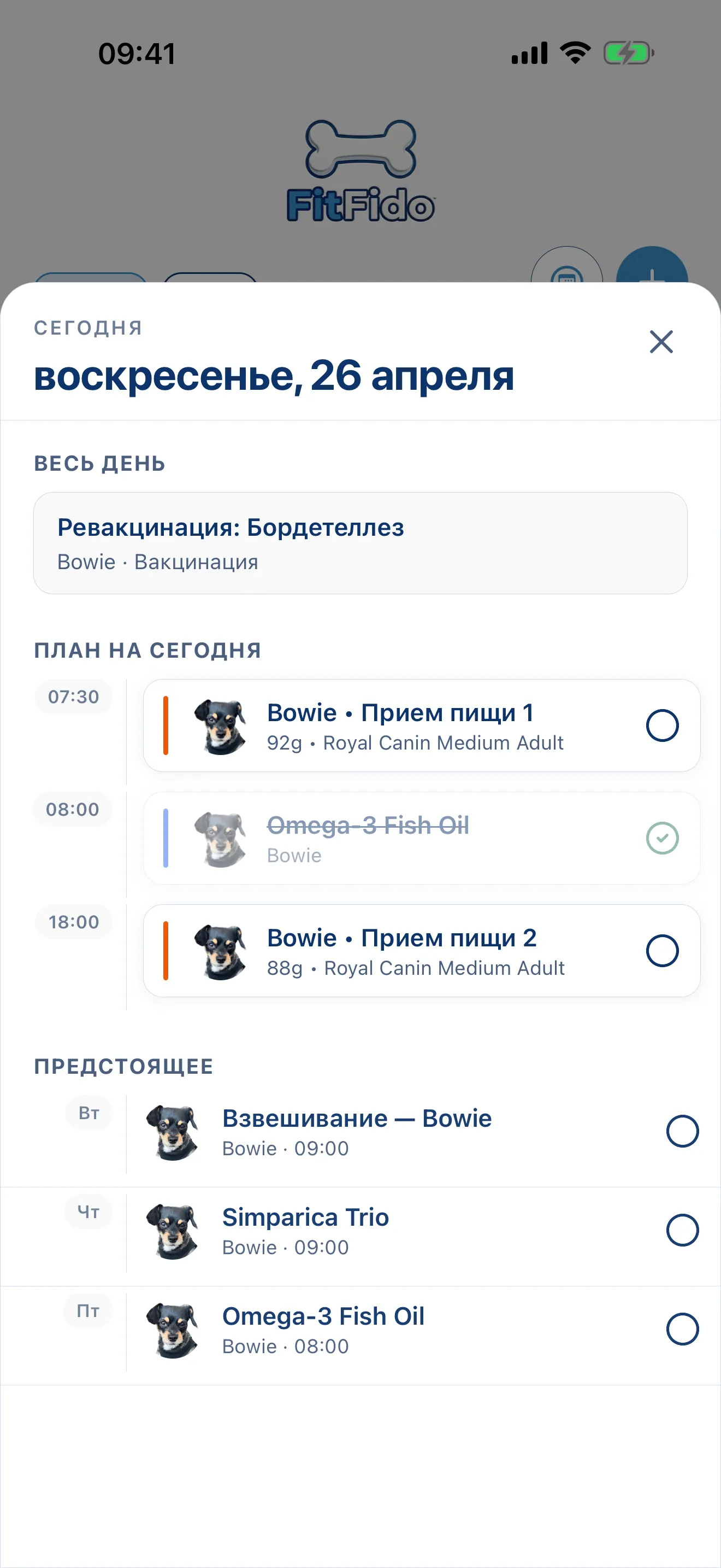 Весь день уже распланирован.