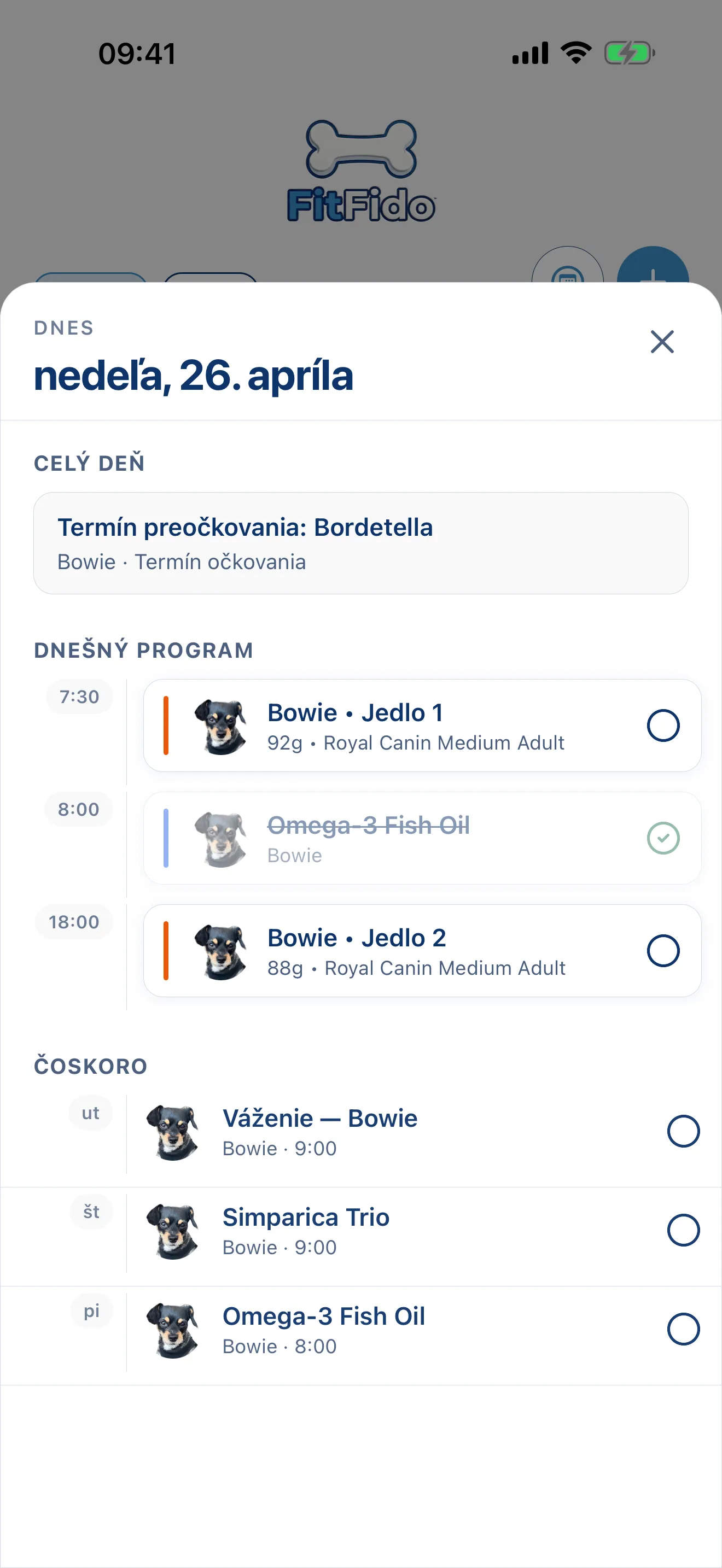 Celý deň, už naplánovaný.