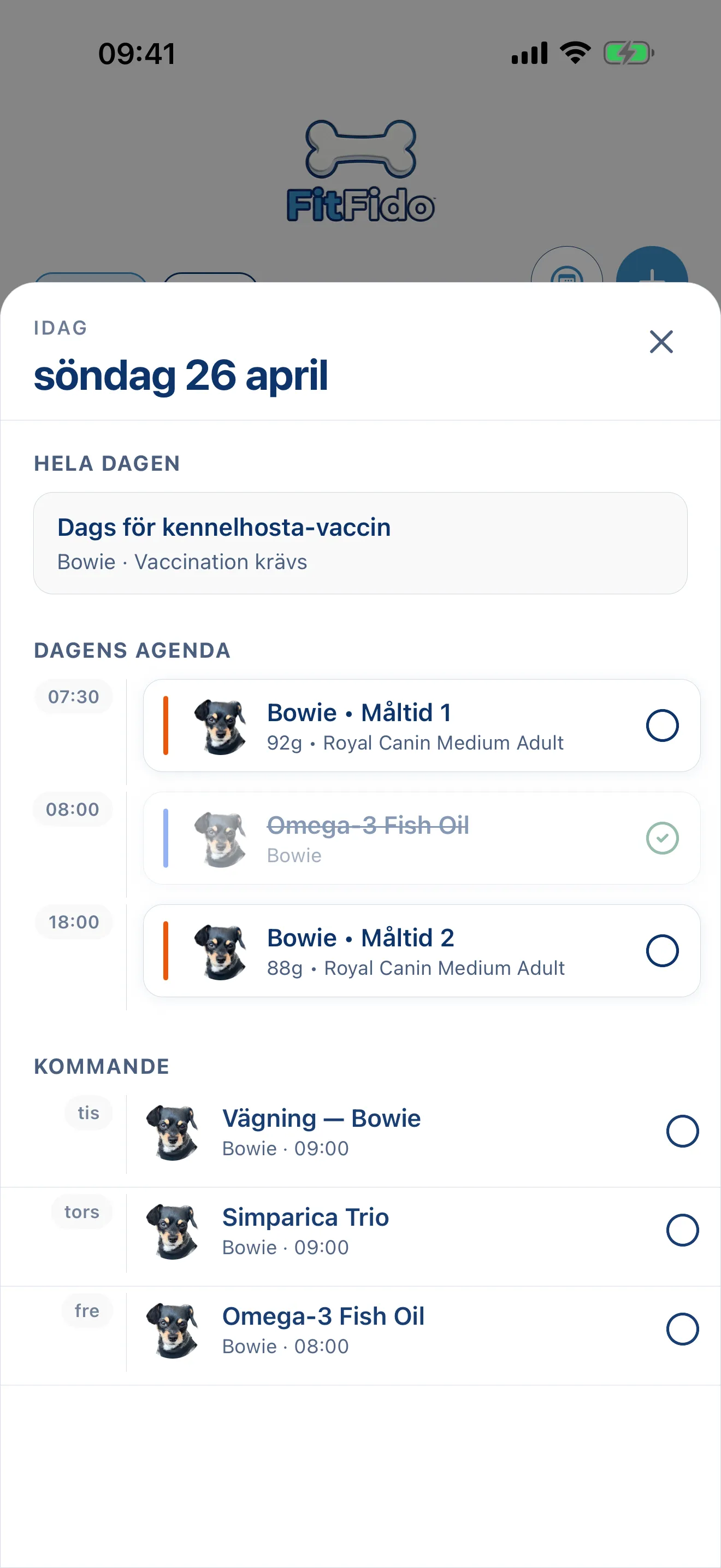 Hela dagen, redan planerad.