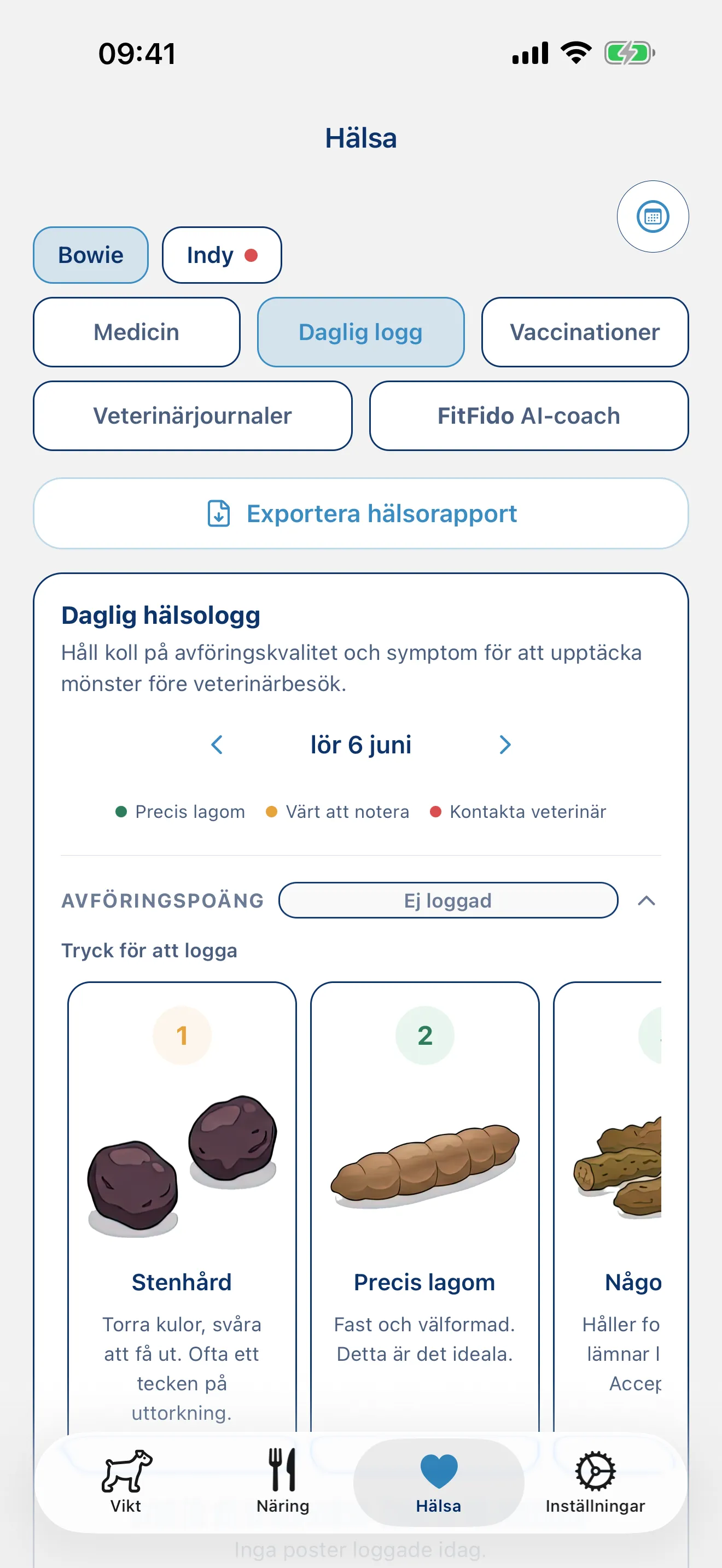 Logga dagen. Varje symtom, varje anteckning.