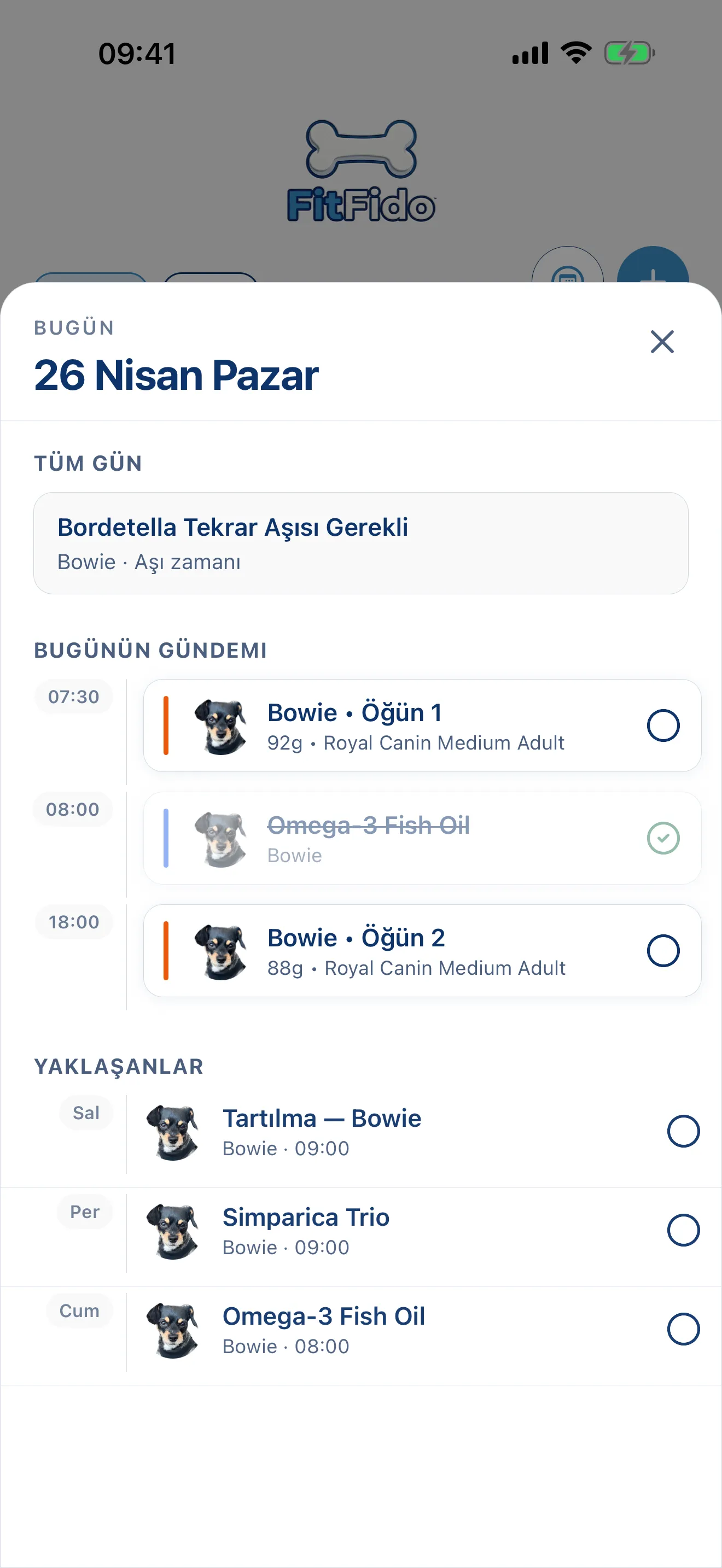 Tüm gün, önceden planlanmış.