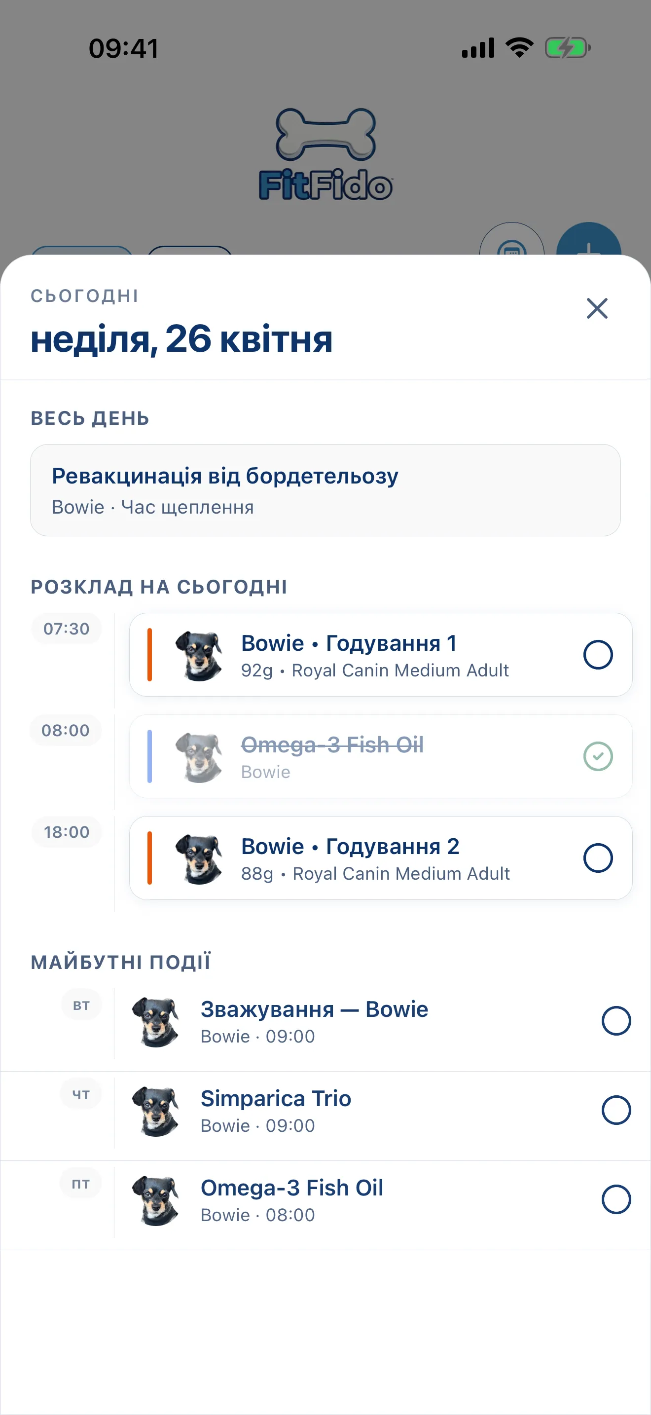 Весь день уже сплановано.