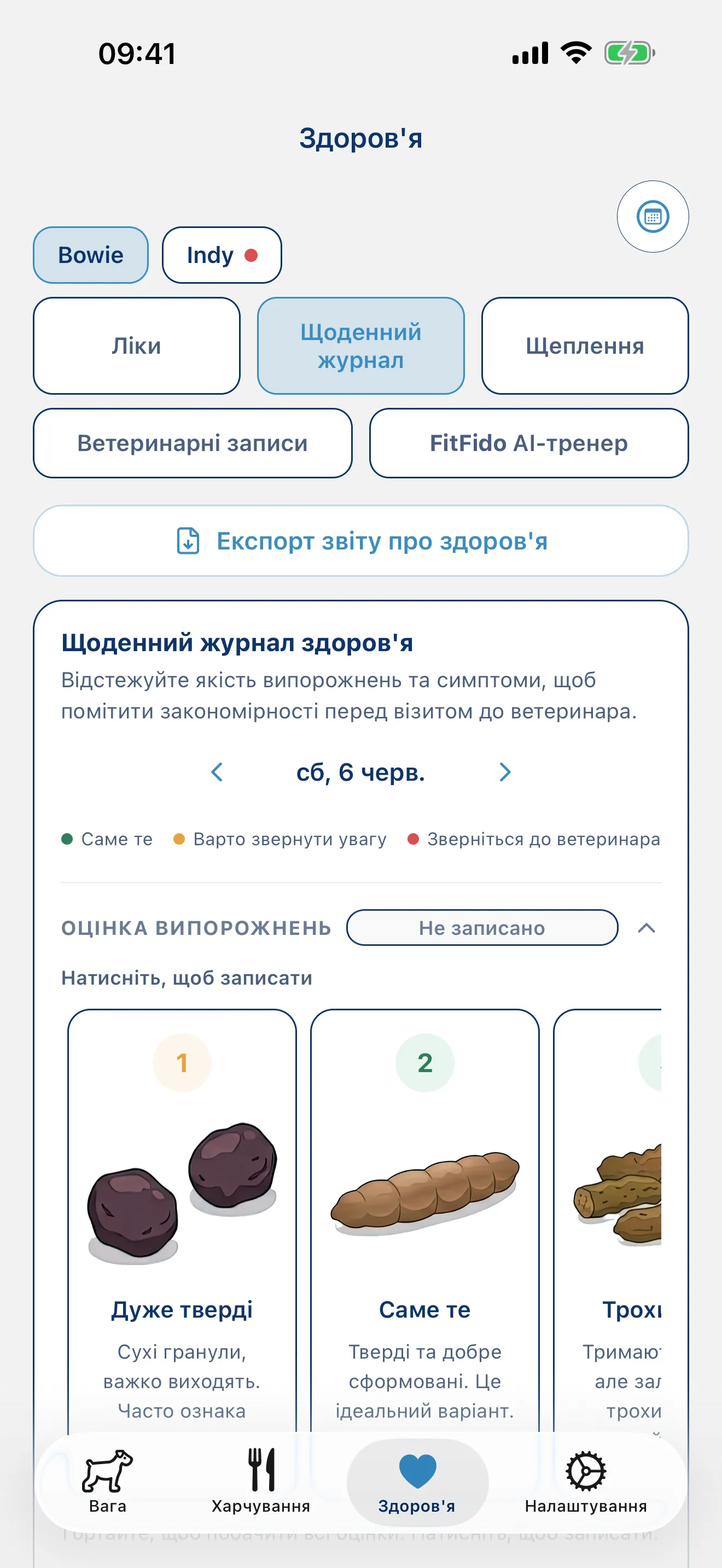 Записуйте день. Кожен симптом, кожна нотатка.