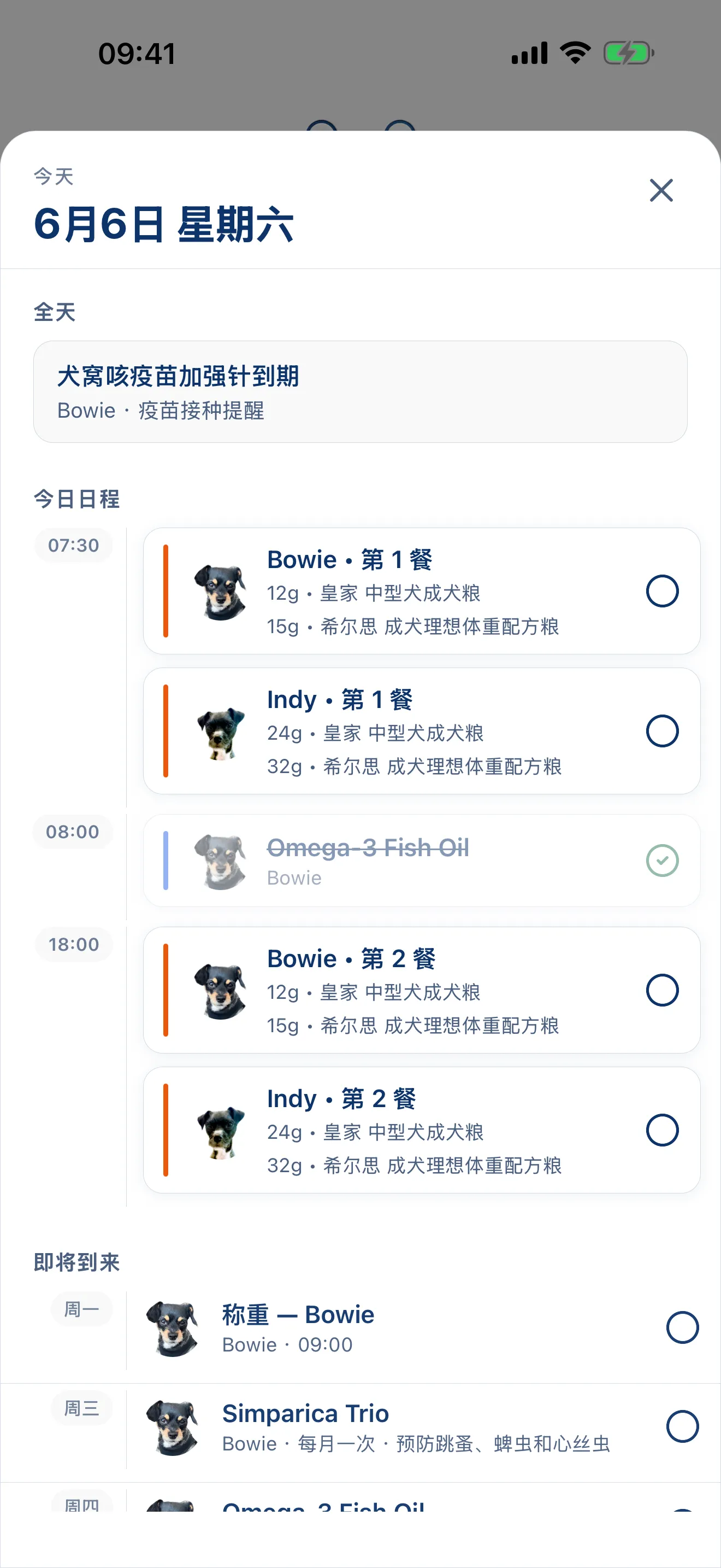 全天行程,規劃妥當。