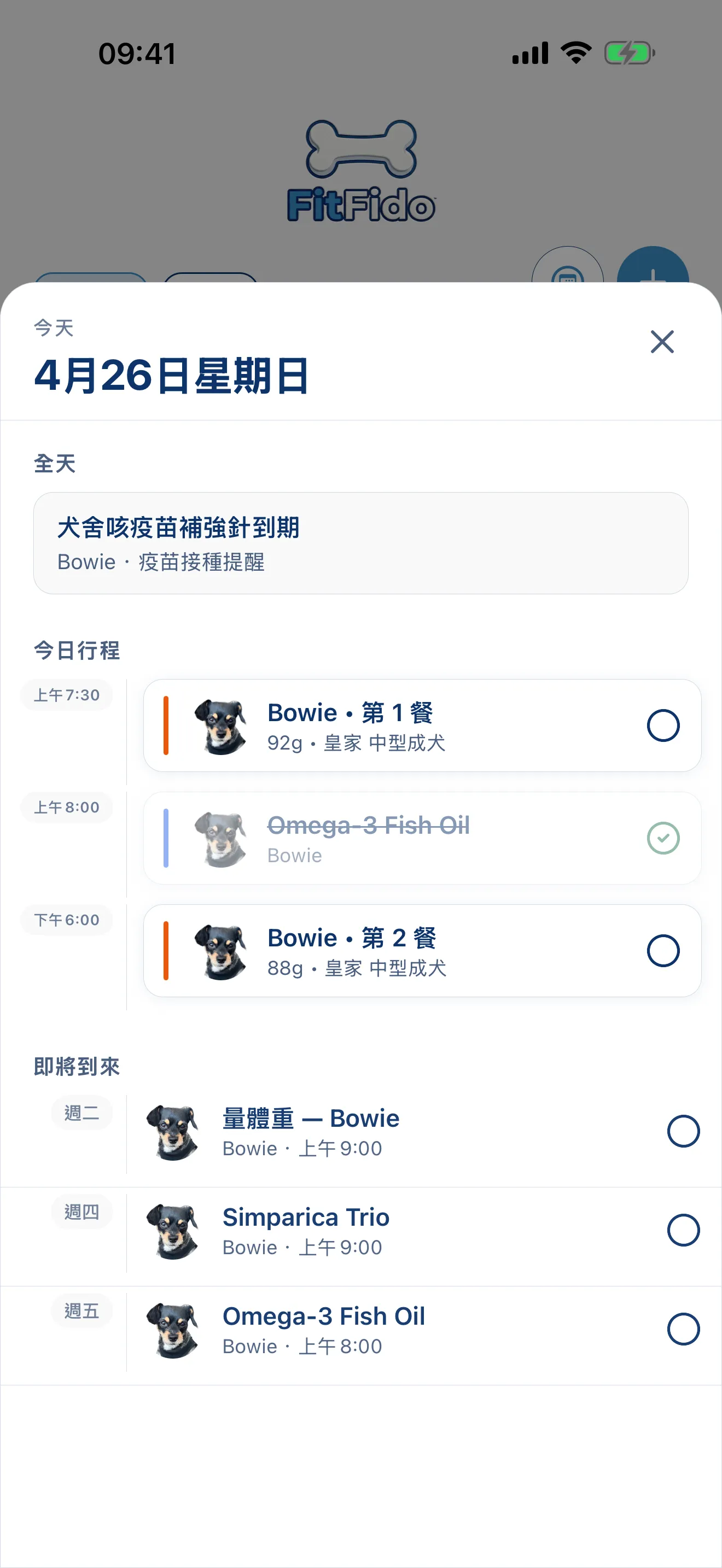全天行程，規劃妥當。